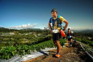 BIB: 9408
                            <button type="button" onclick="openModal(19123066)" class="btn btn-primary btn-sm float-right btn-popup" data-toggle="modal" data-target=".modal-high-quality">
                        <i class="fas fa-shopping-cart"></i> Add to Cart
                    </button>
                                            <button type="button" onclick="isThisMe(19123066, true)" class="btn btn-success btn-sm float-right btn-popup btn-isme hidden" data-toggle="tooltip" data-placement="bottom" title="นี่คือรูปของคุณใช่ไหม คลิกที่นี่เพื่อเอาเข้าอัลบั้ม">
                        <i class="fas fa-plus"></i> Add to album
                    </button>
                    <button type="button" onclick="isThisMe(19123066, false)" class="btn btn-warning btn-sm float-right btn-popup btn-isnotme hidden">
                        <i class="fas fa-ban"></i> Remove from album
                    </button>